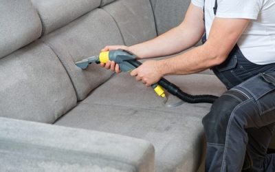 Dry,Cleaner's,Man,Employee,Removing,Dirt,From,Furniture,In,Flat,