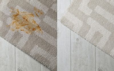 Carpet,Before,And,After,Dry-cleaning,On,Floor,,Top,View.,Banner